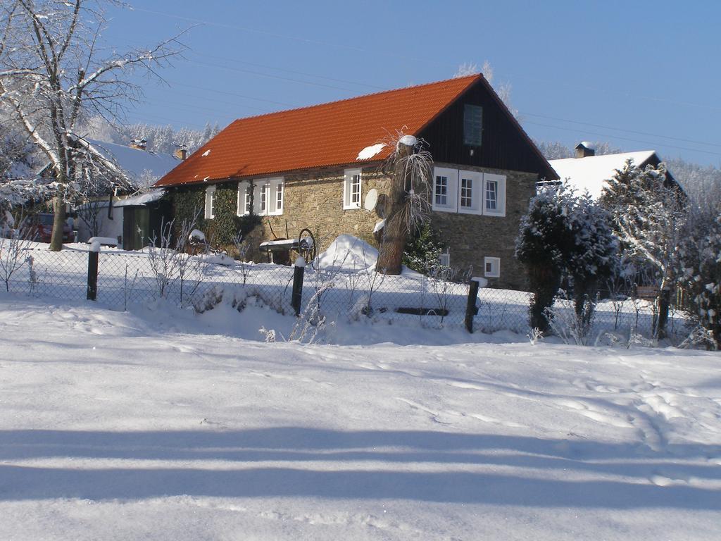 Apartman Dvorecna Loučovice Екстериор снимка