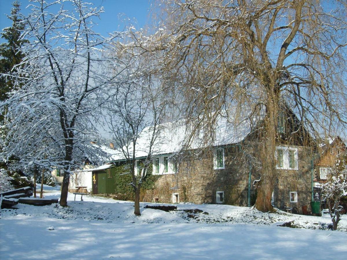 Apartman Dvorecna Loučovice Екстериор снимка